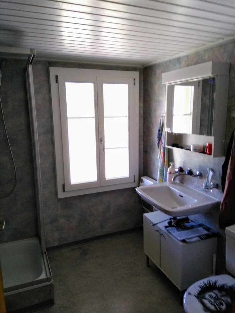bathroom with sink, mirror, toilet, and shower cubicle
