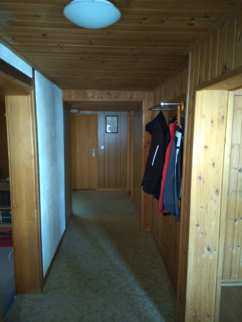 Wooden wall panels, carpeted floor, framed picture on wall, closet with clothing, hallway light