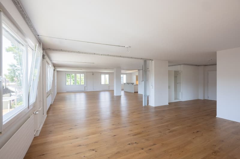 Grosse Familien Wohnung im Grünen und doch Zentral (1)