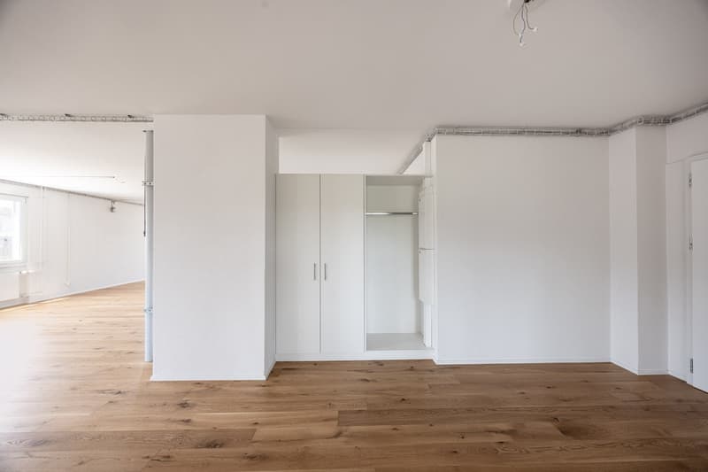 Grosse Familien Wohnung im Grünen und doch Zentral (17)
