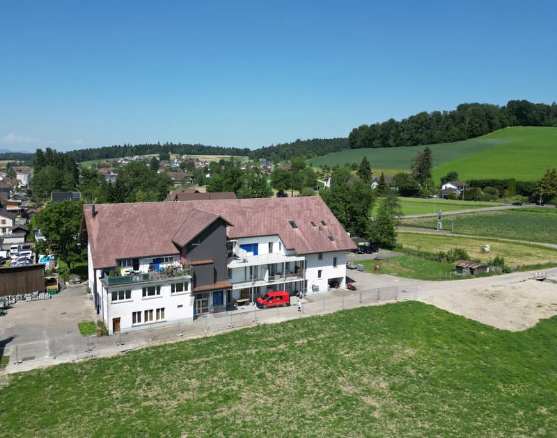 Grosse Familien Wohnung im Grünen und doch Zentral (12)