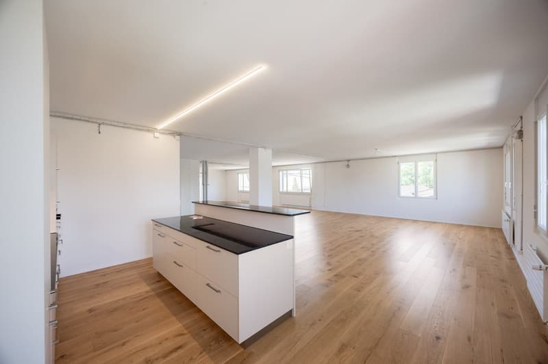 Grosse Familien Wohnung im Grünen und doch Zentral (7)
