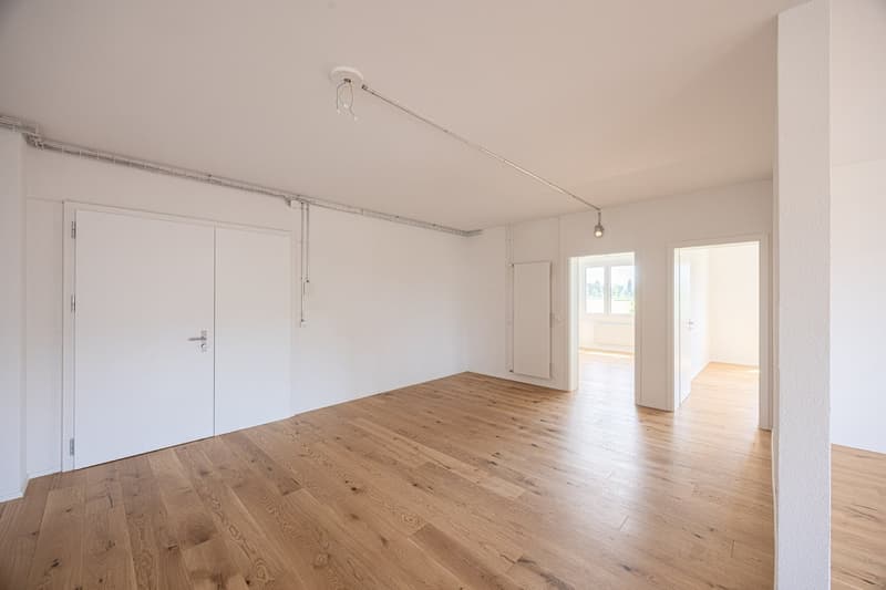 Grosse Familien Wohnung im Grünen und doch Zentral (15)