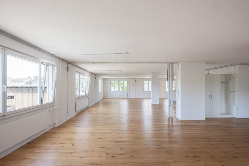 Grosse Familien Wohnung im Grünen und doch Zentral (6)