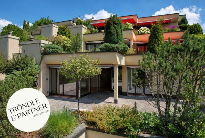 Ruhe, Natur und Privatsphäre - grosszügiges Terrassenhaus im Etzlibergquartier (1)