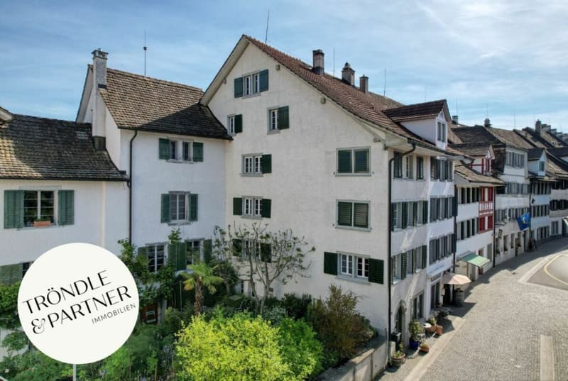 Kernsaniertes Liebhaberobjekt im Stedtli mit viel Platz für die Familie (1)