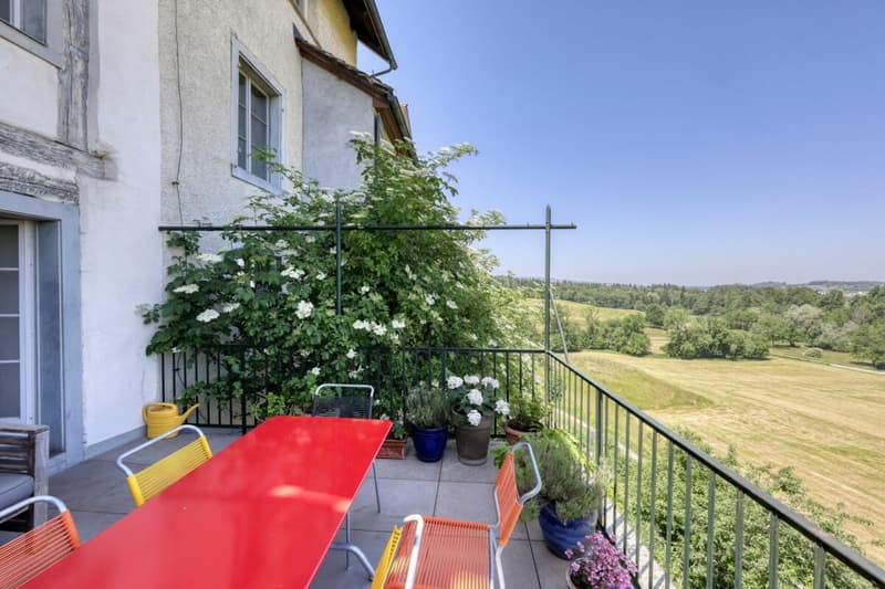 7.5-Zimmer-Bijoux mit viel Platz und Charme (12)