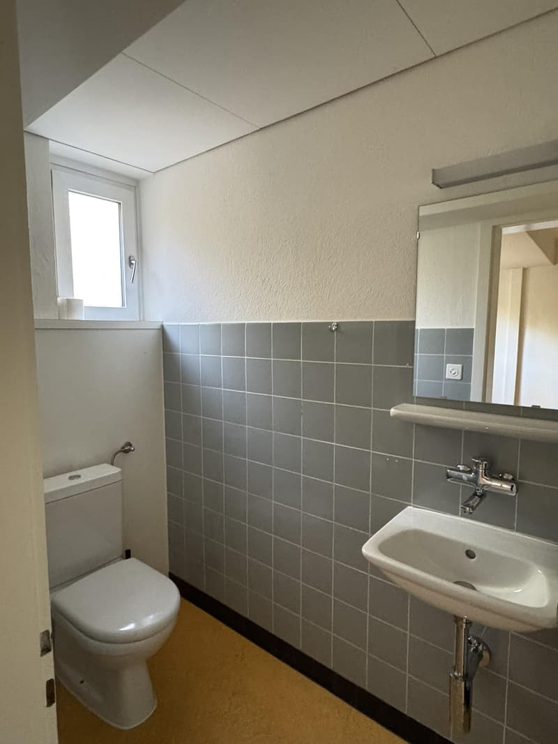 Offices/Commercial Spaces for Rent from Net CHF 80./m² p.a. (6)