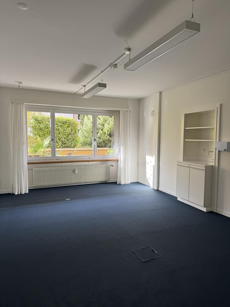 Offices/Commercial Spaces for Rent from Net CHF 80./m² p.a. (3)