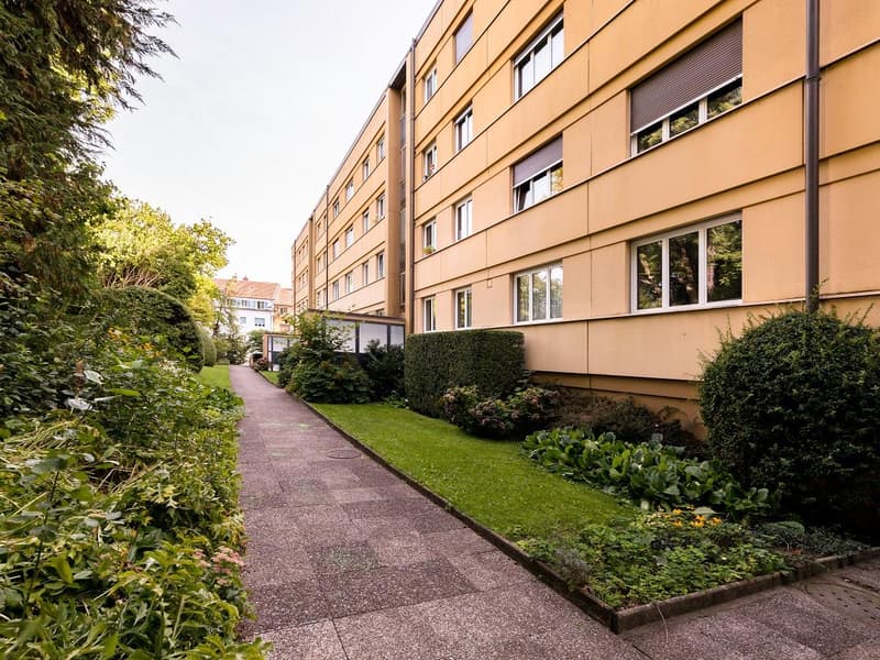 Offices/Commercial Spaces for Rent from Net CHF 80./m² p.a. (9)