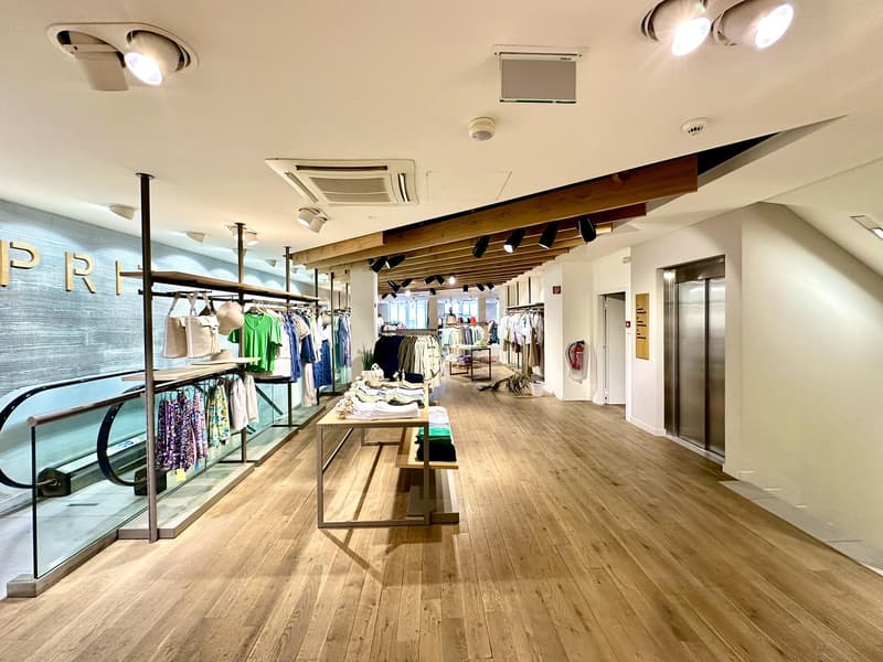 Proprietà commerciale a Berna (7)