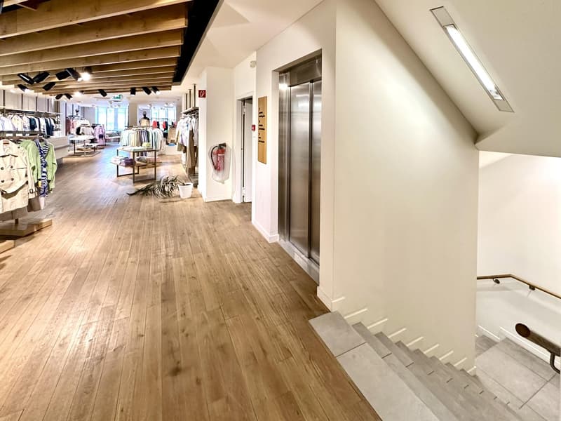 Proprietà commerciale a Berna (5)