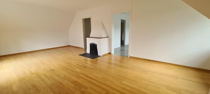 Ampio appartamento con vista sul Gurten (7)