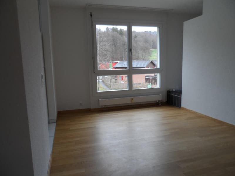 Schöne 5.5-Zimmer-Duplexwohnung (7)