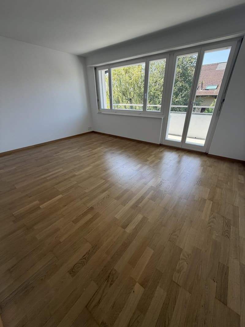 Helle 4-Zimmer-Wohnung mit Balkon und Weitsicht bis zu den Alpen (3)