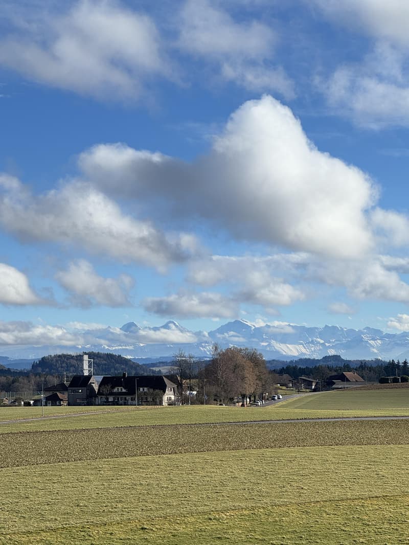 Helle 4-Zimmer-Wohnung mit Balkon und Weitsicht bis zu den Alpen (10)