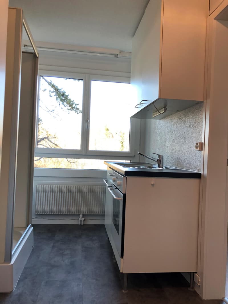 Bright single apartment in the center of Lyss (4)