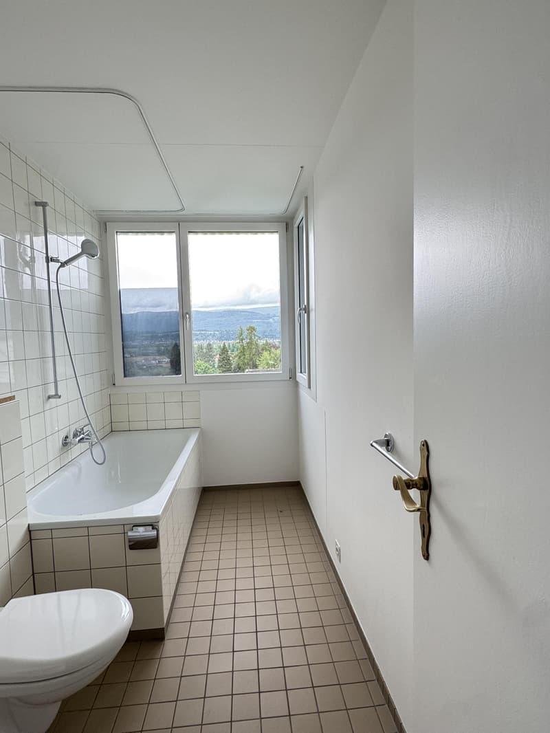 4-Bedroom Apartment in Büren an der Aare (6)