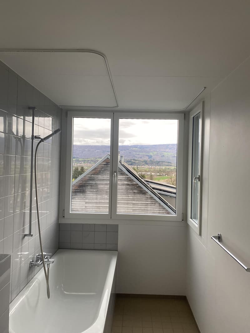 Charming apartment with large balcony (5)