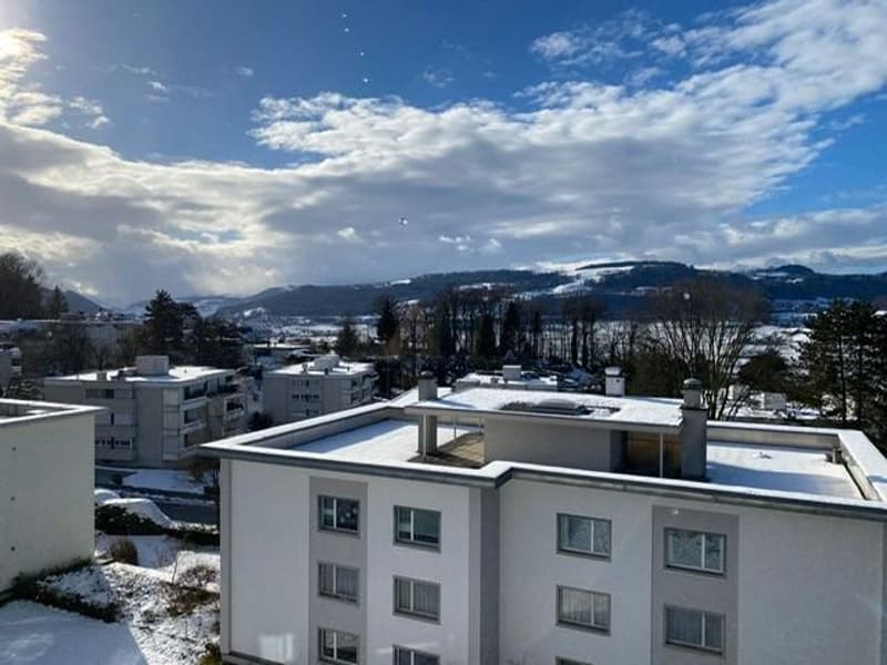 Appartamento di 5,5 locali bellissimo con vista a Muri b. Bern (10)