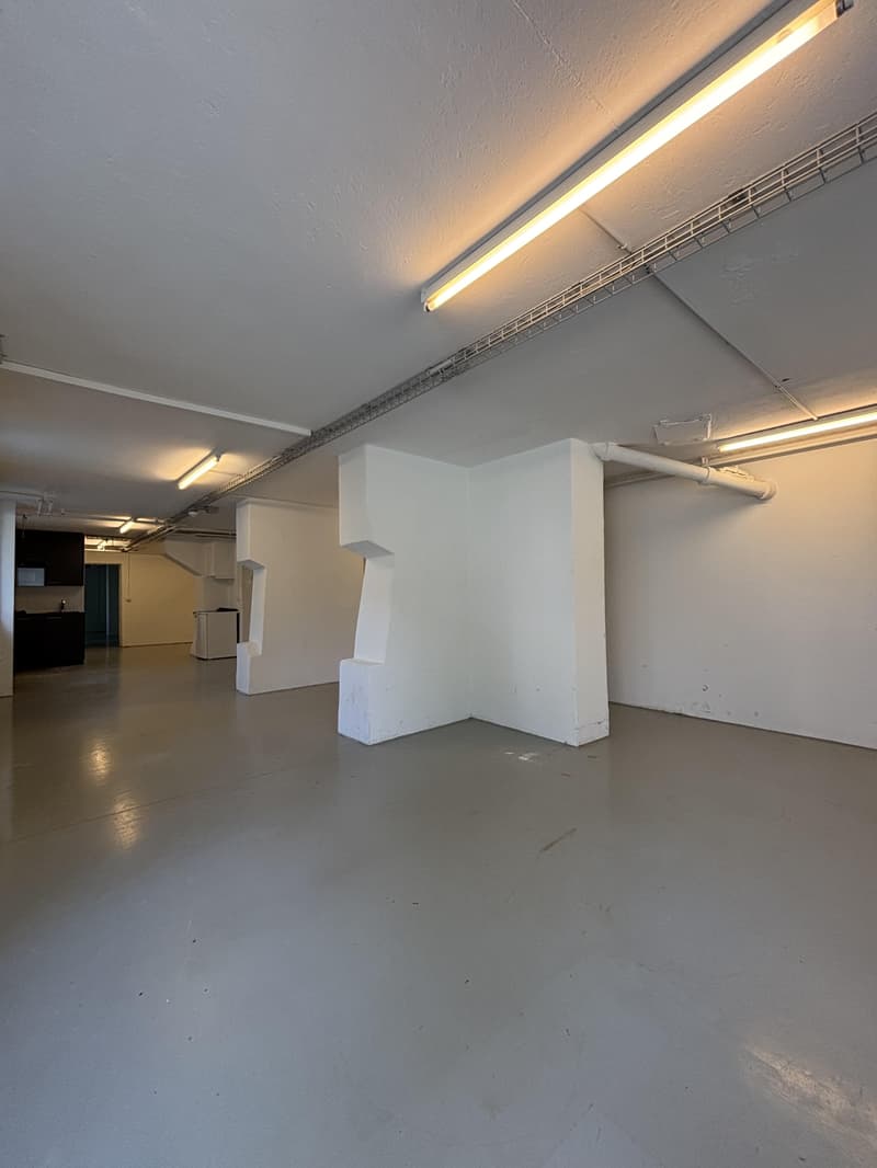 Versatile commercial space with 132 m² (2)