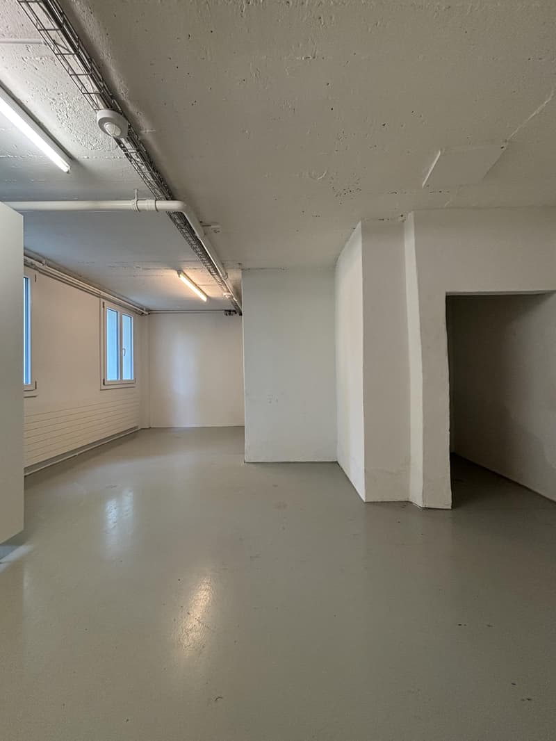 Versatile commercial space with 132 m² (8)