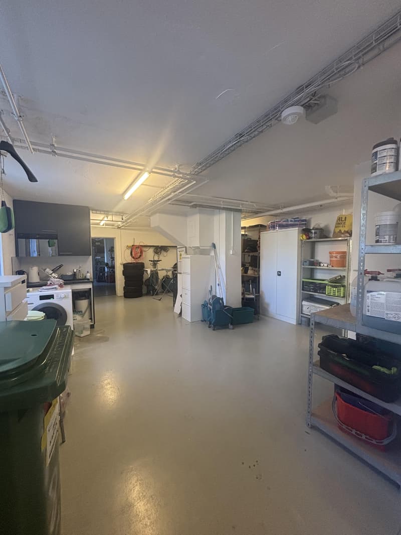 Espace commercial polyvalent de 132 m² (2)