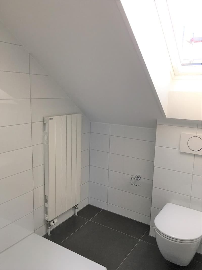 Appartement en duplex lumineux 2 pièces dans un excellent emplacement (3)