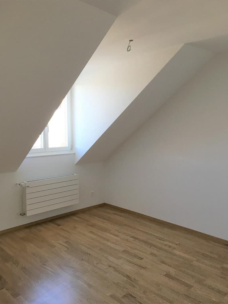 Appartement en duplex lumineux 2 pièces dans un excellent emplacement (6)