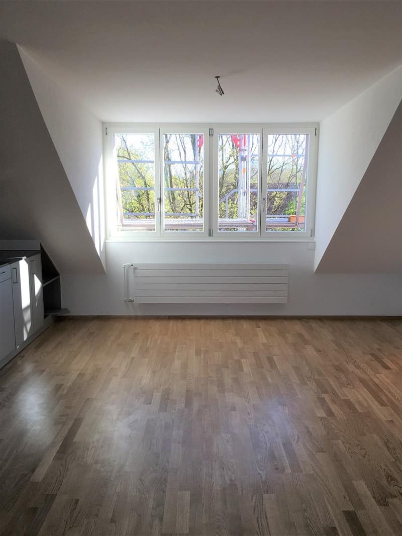 Appartement en duplex lumineux 2 pièces dans un excellent emplacement (5)