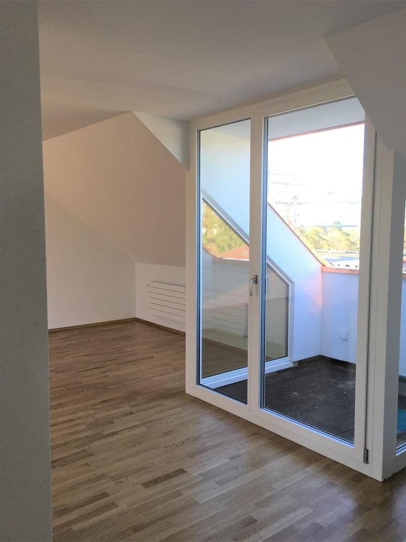 Appartement en duplex lumineux 2 pièces dans un excellent emplacement (8)