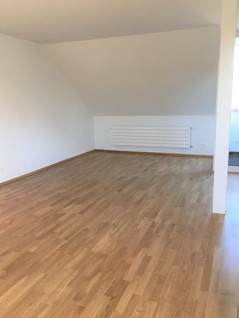 Appartement en duplex lumineux 2 pièces dans un excellent emplacement (7)