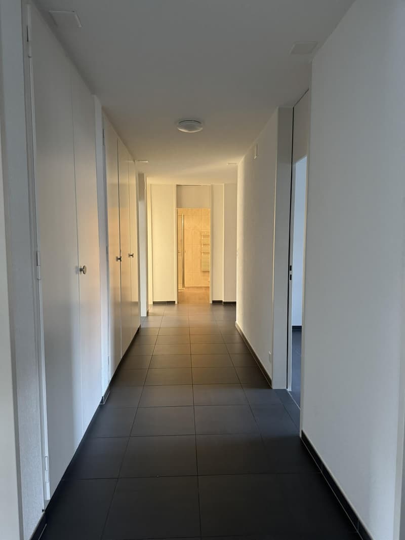 Bright 5.5-room apartment in Muri near Bern (6)