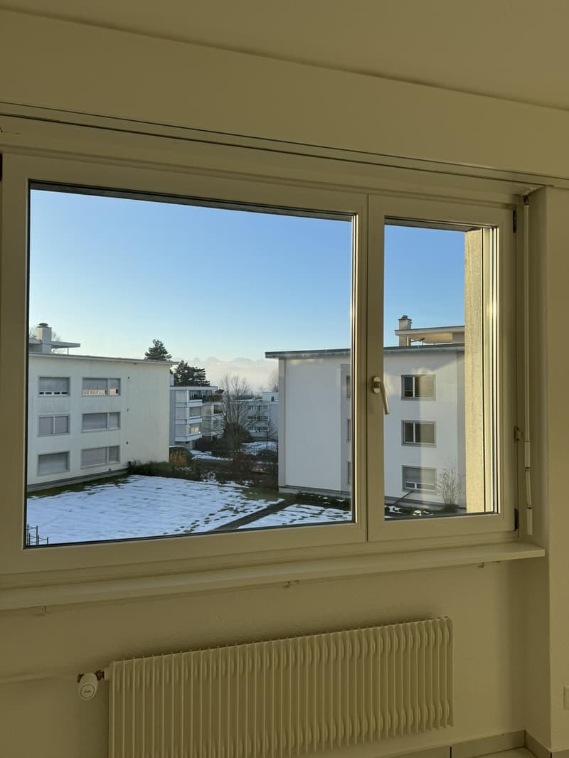 Bright 5.5-room apartment in Muri near Bern (4)