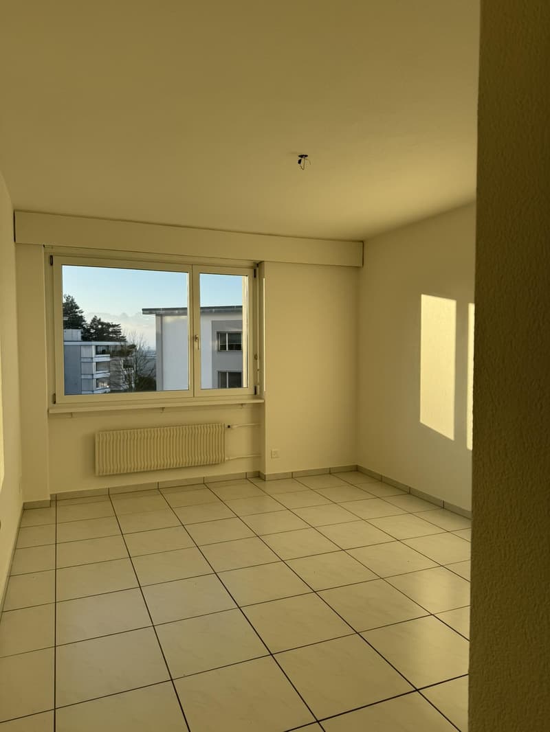 Bright 5.5-room apartment in Muri near Bern (3)