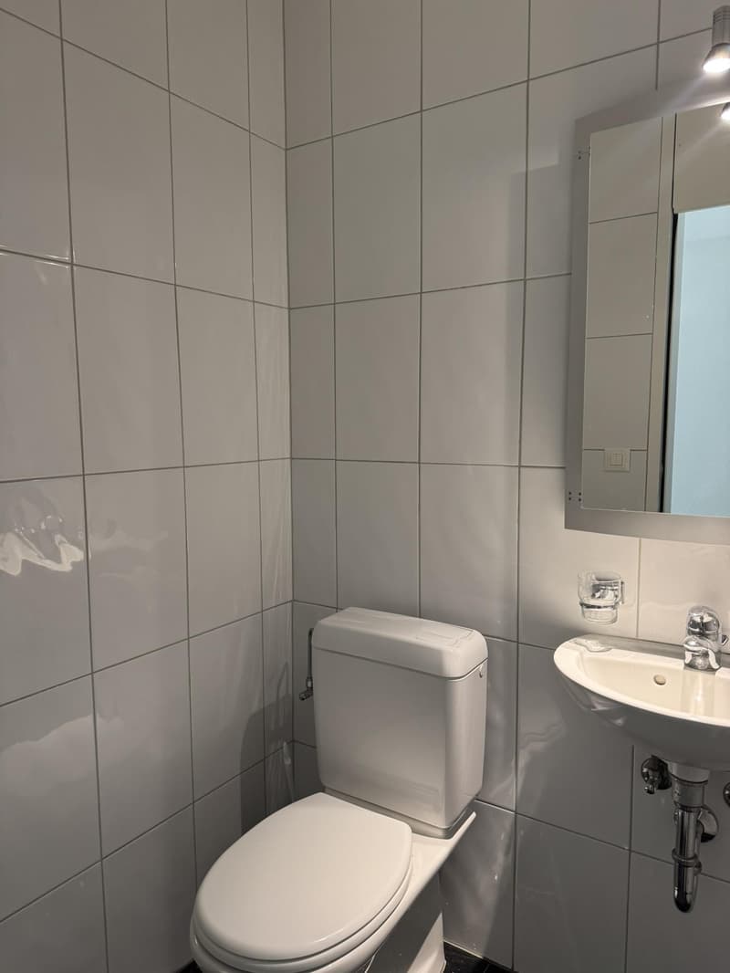 Bright 5.5-room apartment in Muri near Bern (10)