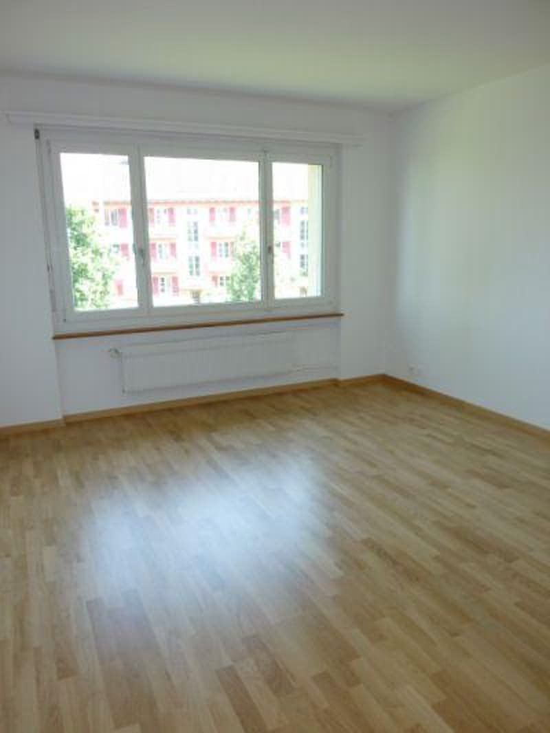hübsche Singlewohnung im Fischermätteli Quartier (3)