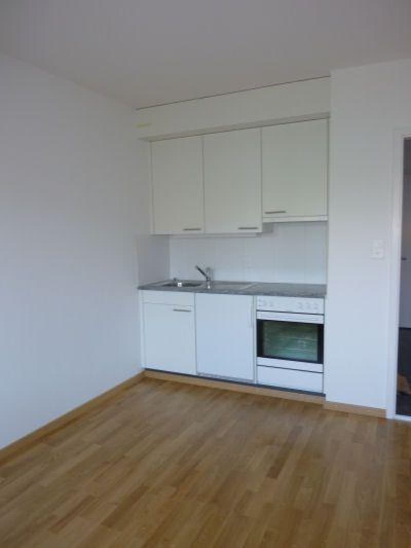 hübsche Singlewohnung im Fischermätteli Quartier (1)