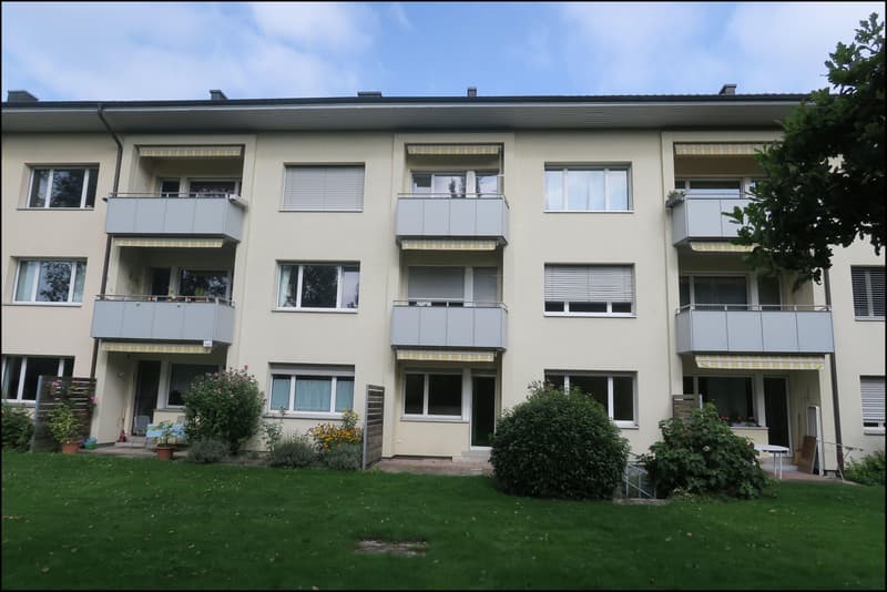 hübsche Singlewohnung im Fischermätteli Quartier (5)