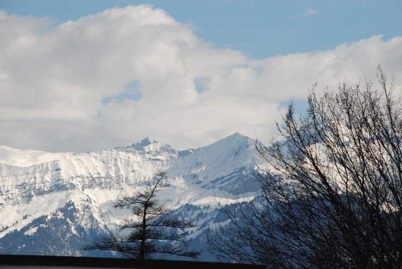 Habiter avec vue sur les Alpes ! (7)