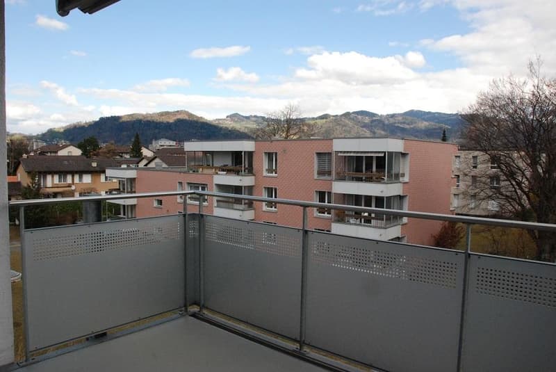 Habiter avec vue sur les Alpes ! (6)