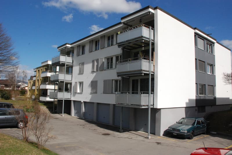 Habiter avec vue sur les Alpes ! (8)