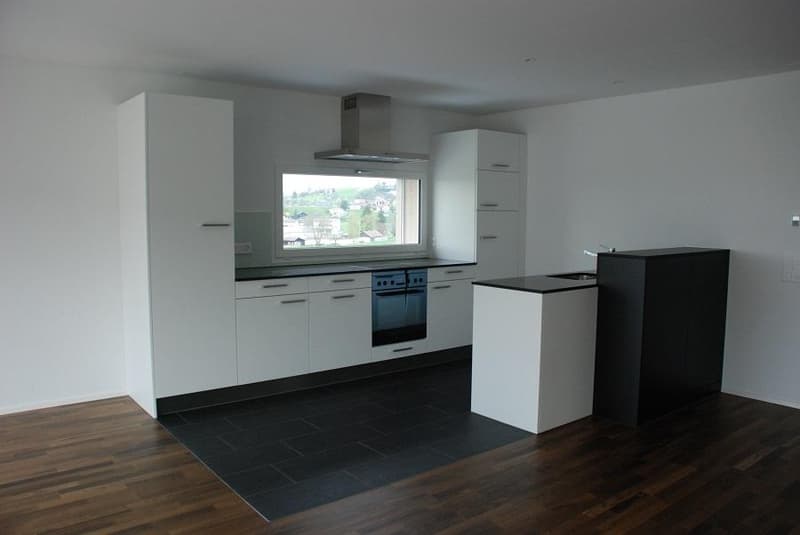 Modern 3.5-room apartment in a quiet location (2)