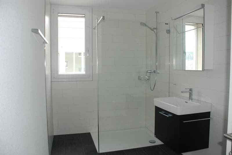 Modern 3.5-room apartment in a quiet location (4)