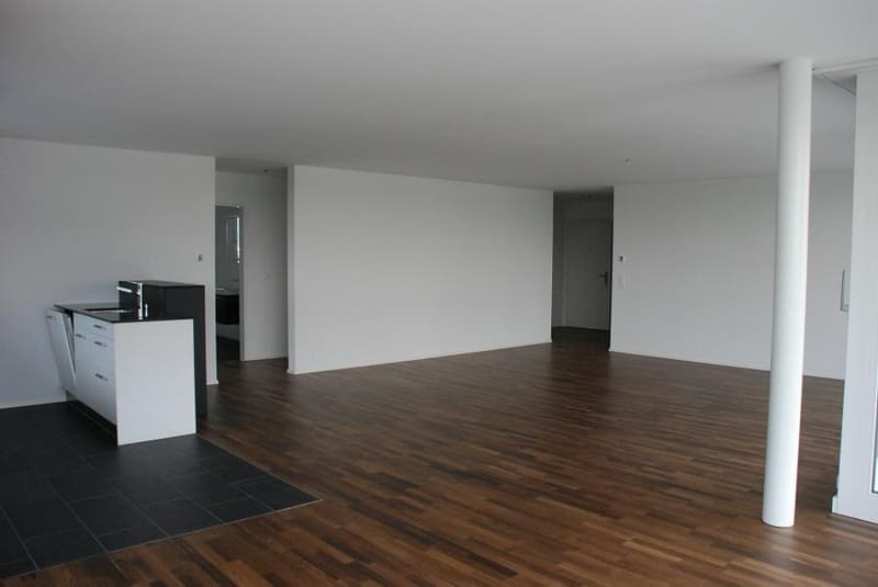 Modern 3.5-room apartment in a quiet location (3)