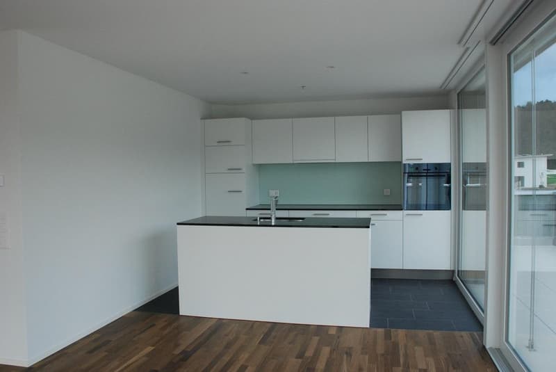 Modern attic apartment with large terrace (3)