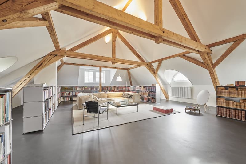 Exclusive 9-room residential dream in a park setting (8)
