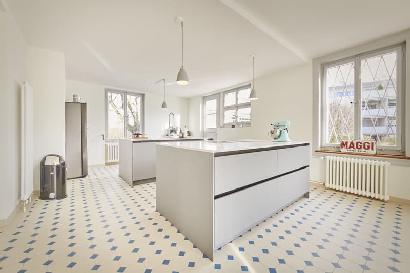 Exclusive 9-room residential dream in a park setting (7)