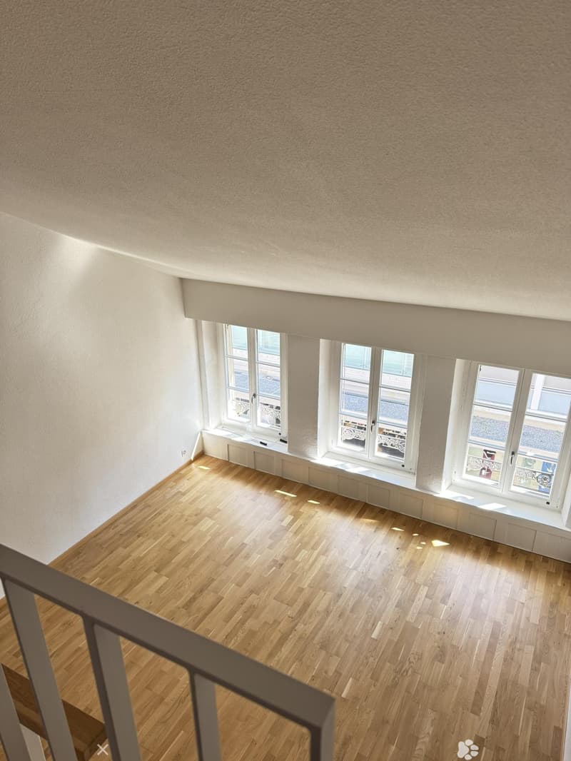 Charmante Wohnung in Biel/Bienne (2)
