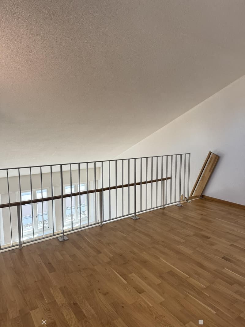 Charmante Wohnung in Biel/Bienne (4)